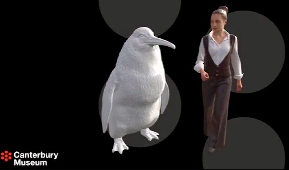 Giant penguin fossil found in New Zealand