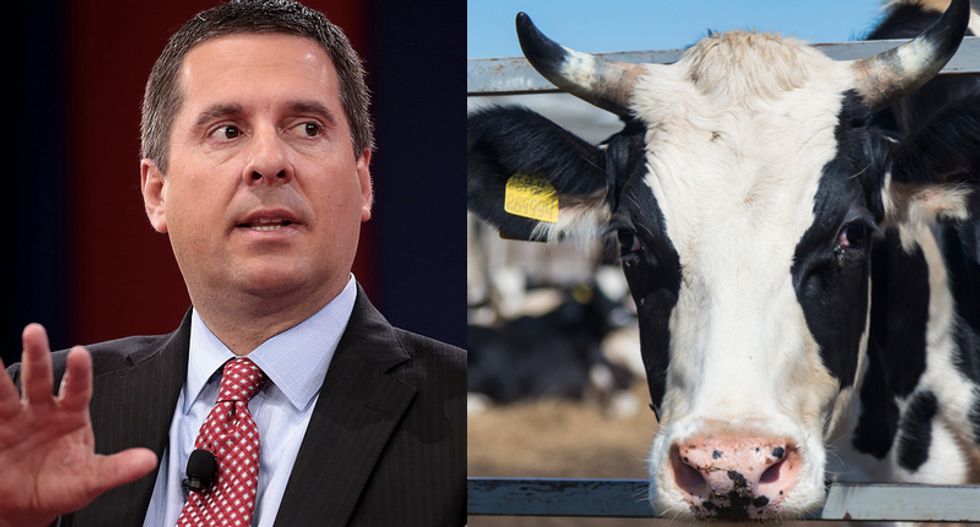 Judge rules Devin Nunes can’t sue Twitter over trolling by fake cow
