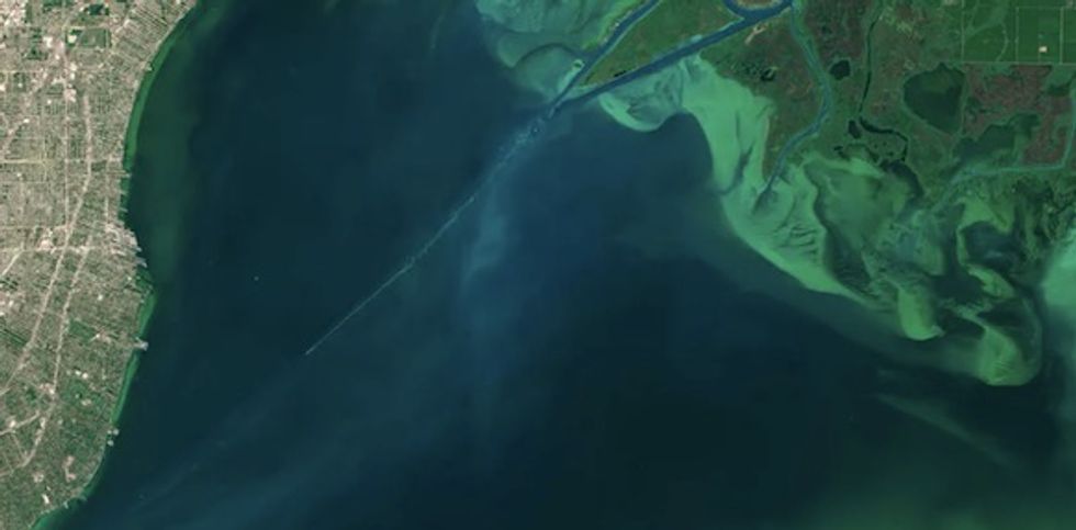Dead zones are a global water pollution challenge – but with sustained effort they can come back to life