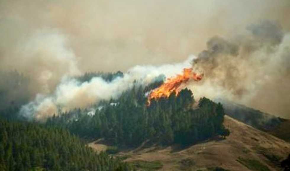 More evacuations as Canary Islands fire out of control