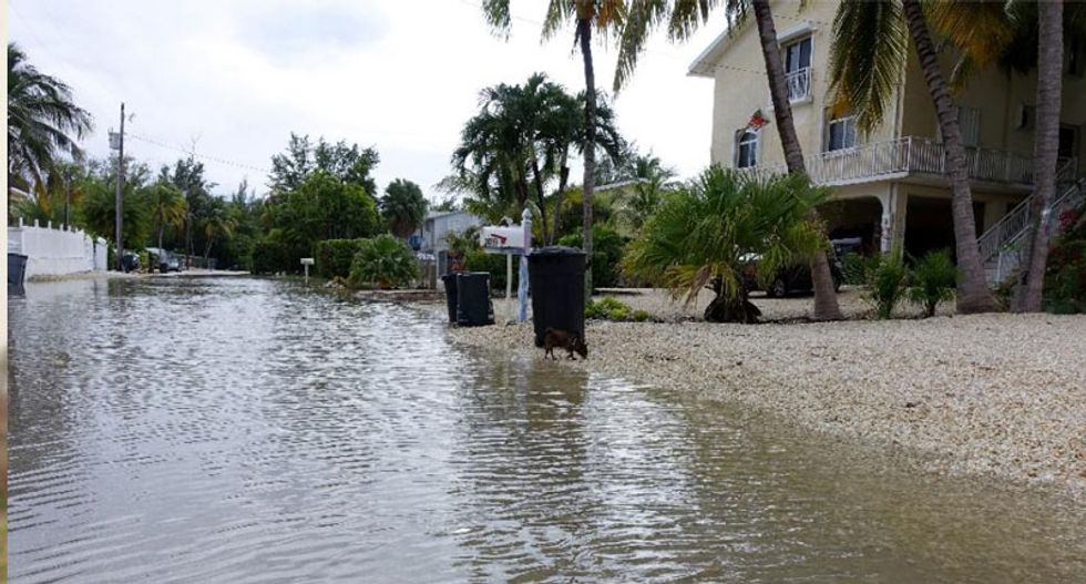 Abnormally high tides turn Florida Keys streets into canal-like swamps