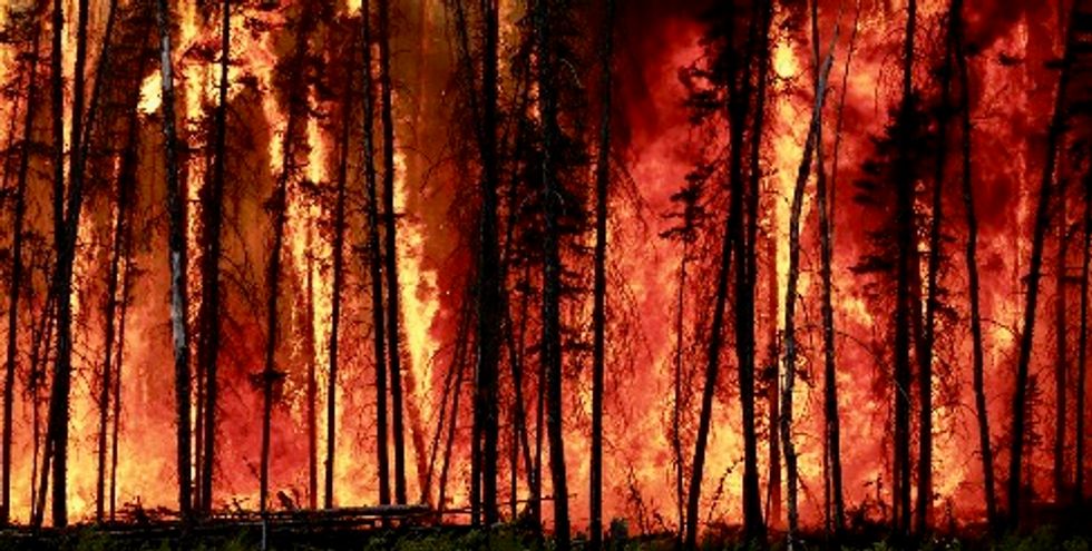 Increasing wildfires threaten to turn Northern Hemisphere’s boreal forests from vital carbon stores into climate heaters