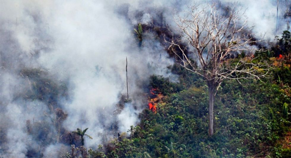 Hundreds of new fires in Brazil as outrage over Amazon grows