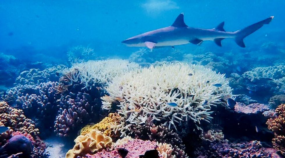 Scientists try 'cloud brightening' to protect Great Barrier Reef