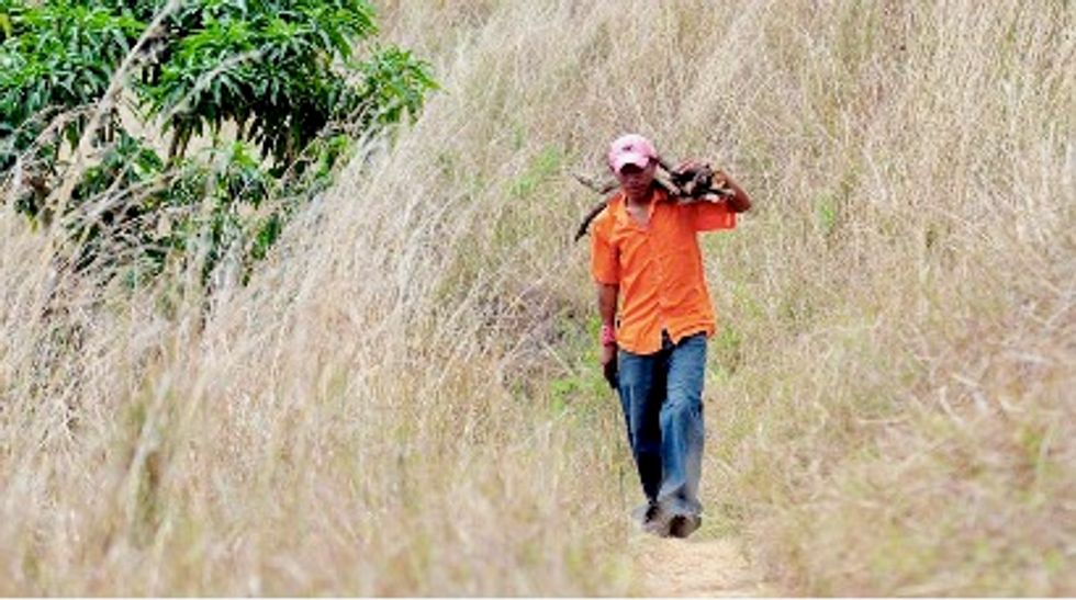 How climate change is driving emigration from Central America