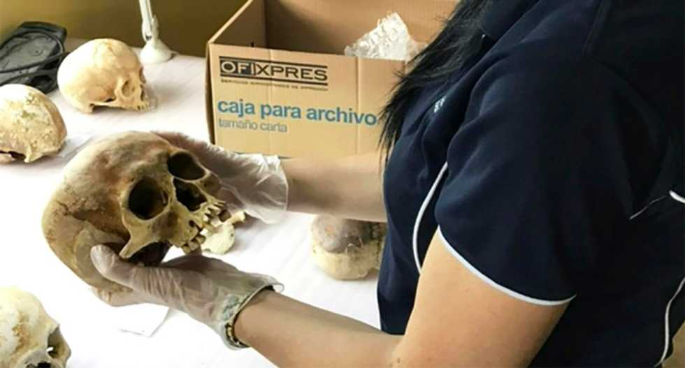 Skin-crawling discovery: 'body farm' scientists find corpses move