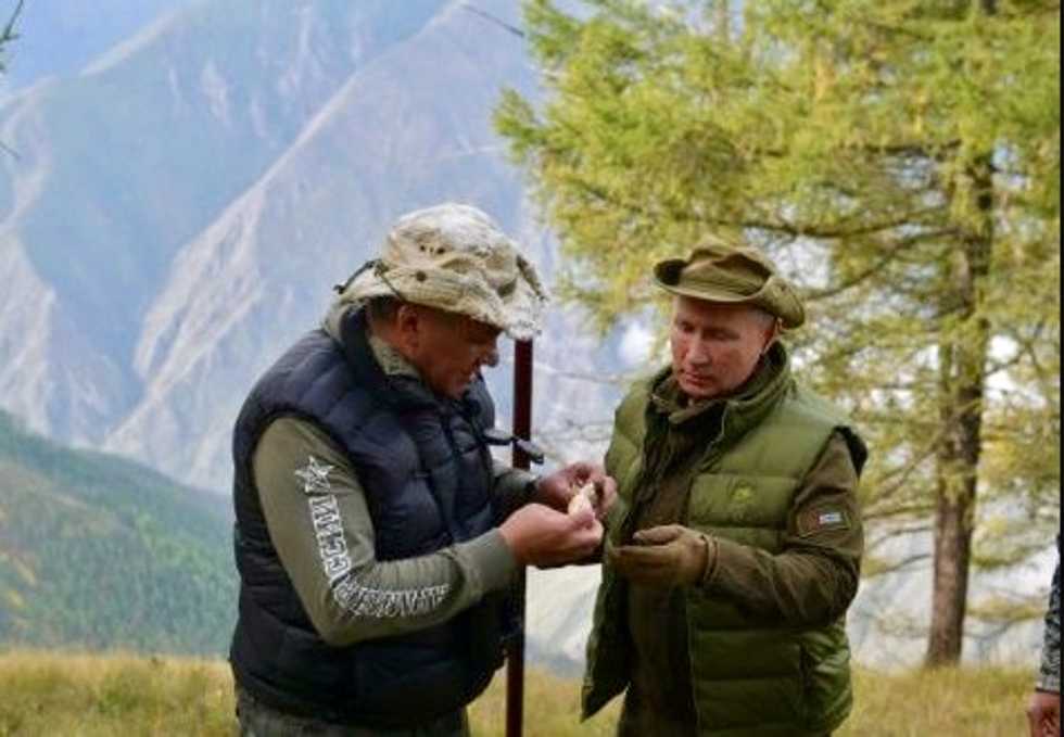 Putin puts on birthday show gathering mushrooms