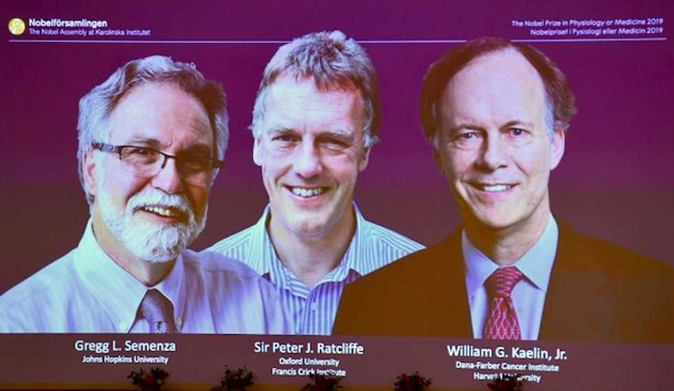 Trio win medicine Nobel for work on how cells adapt to oxygen
