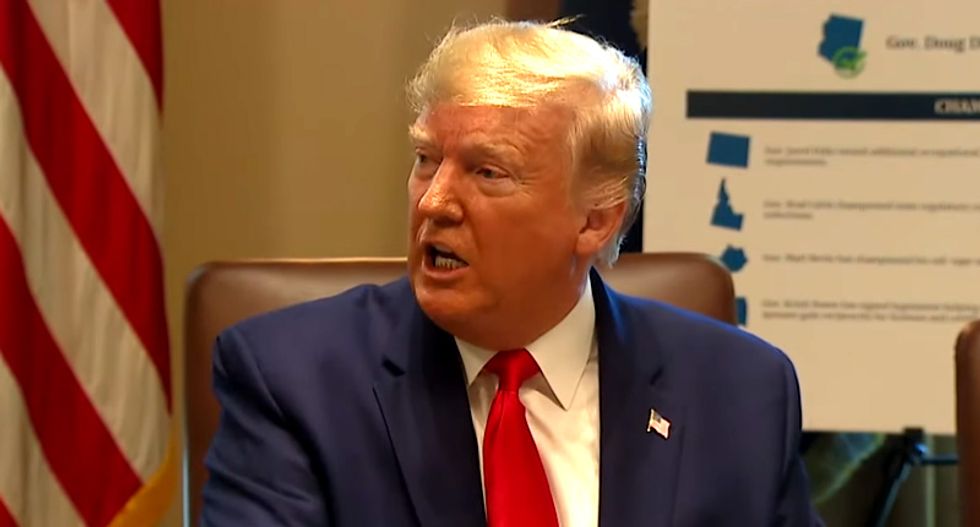 REVEALED: Trump repeatedly interrupted briefings to ask bizarre questions about badgers