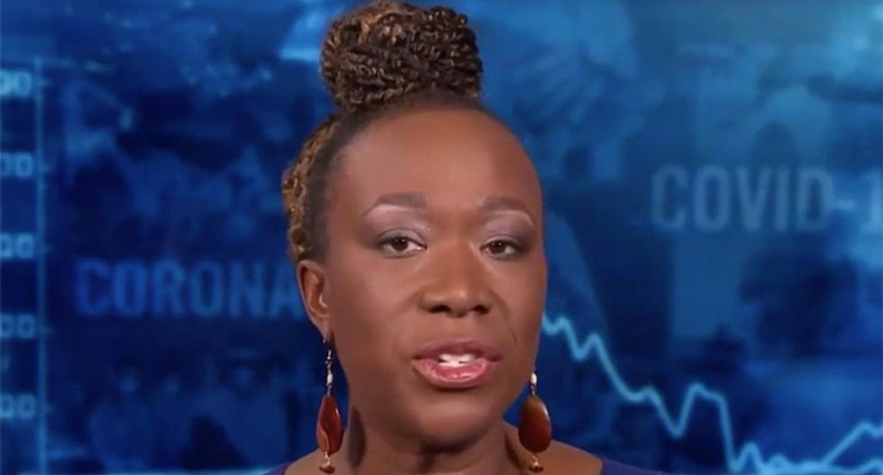 MSNBC's Joy Reid slams lockdown protesters waving Confederate flags: 'What the hell does that have to do with a pandemic?'