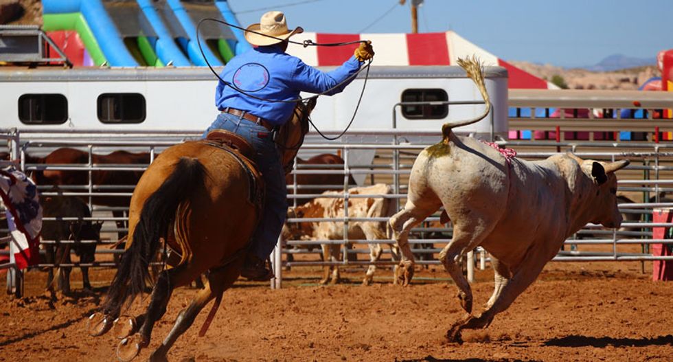 Officials knew coronavirus could spread at the Houston rodeo but proceeded with the event anyway