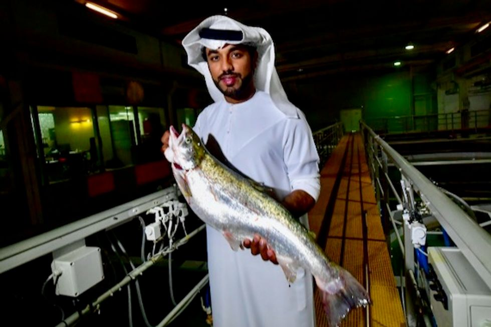 In the deserts of Dubai, salmon farming thrives