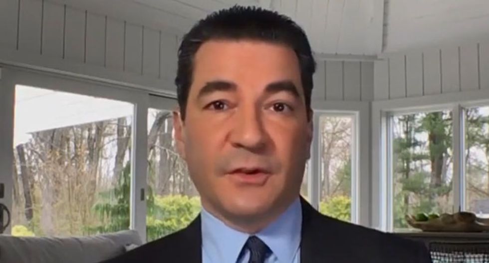 Ex-Trump official warns of 'slow burn of infection across the country' after US failed to stop COVID-19