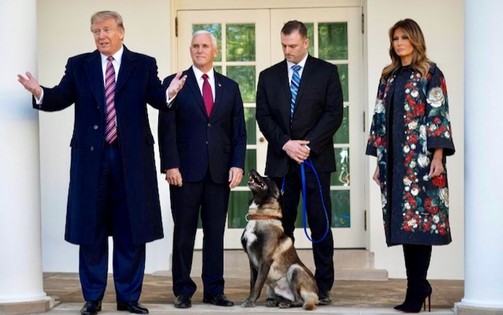 Trump mocked for hating animals after Biden twists ankle playing with his dog