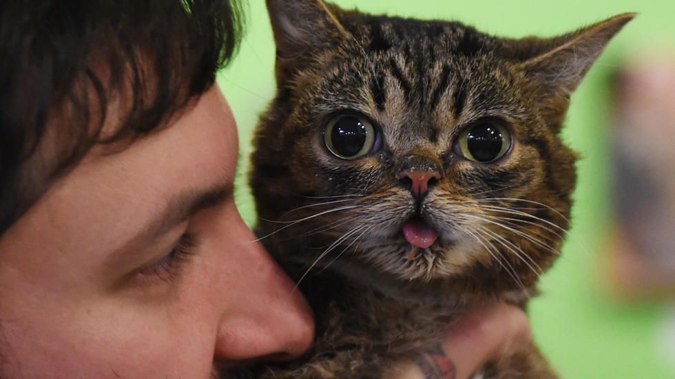 The wacky, big-money world of pet influencers