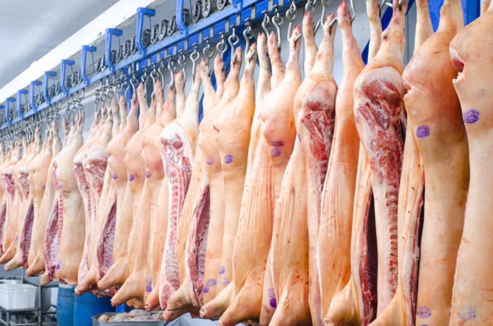 World needs to reach 'peak meat' by 2030 to avert an ecological disaster: scientists