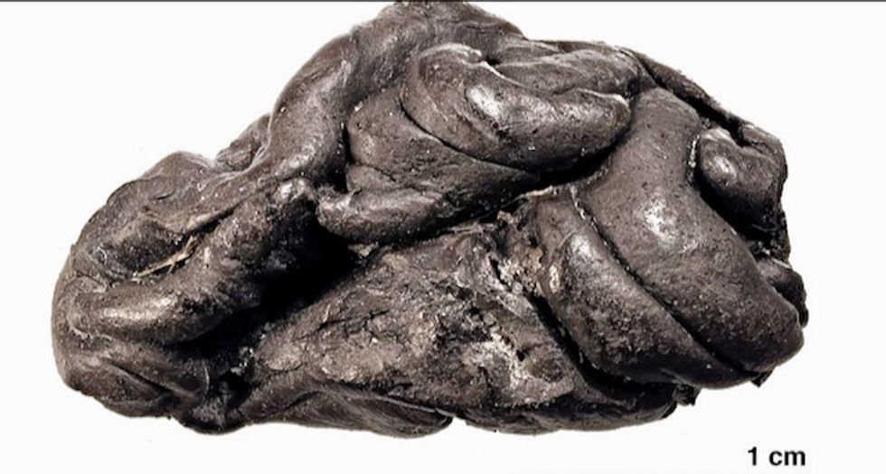 Did it keep its flavor? Stone-age 'chewing-gum' yields human DNA