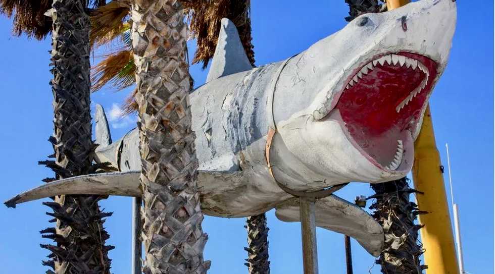 You're gonna need a bigger museum: 'Jaws' shark installed