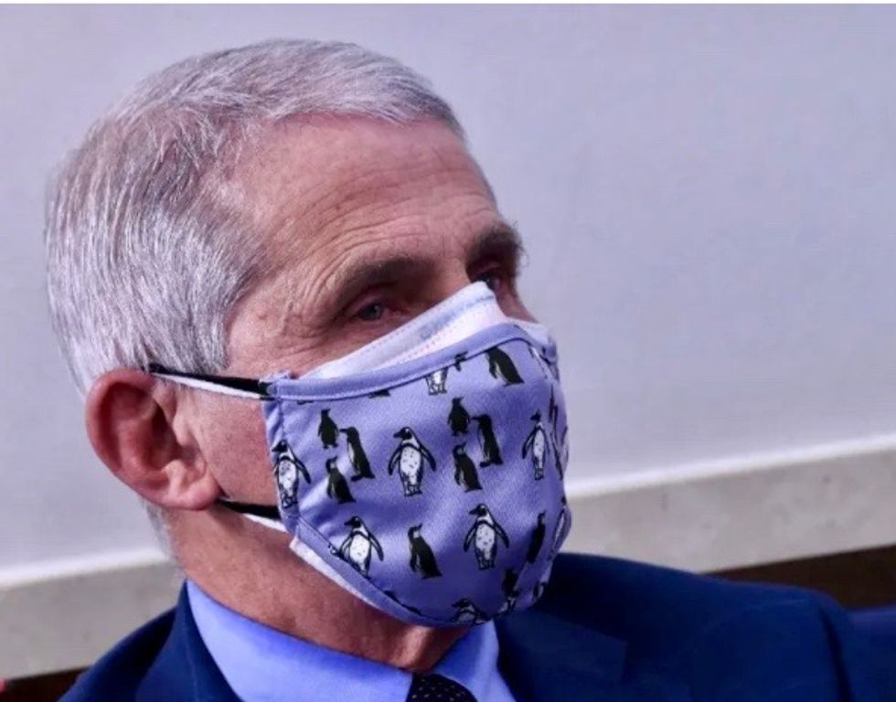 Britain 'rushed' Pfizer Covid vaccine approval: Fauci