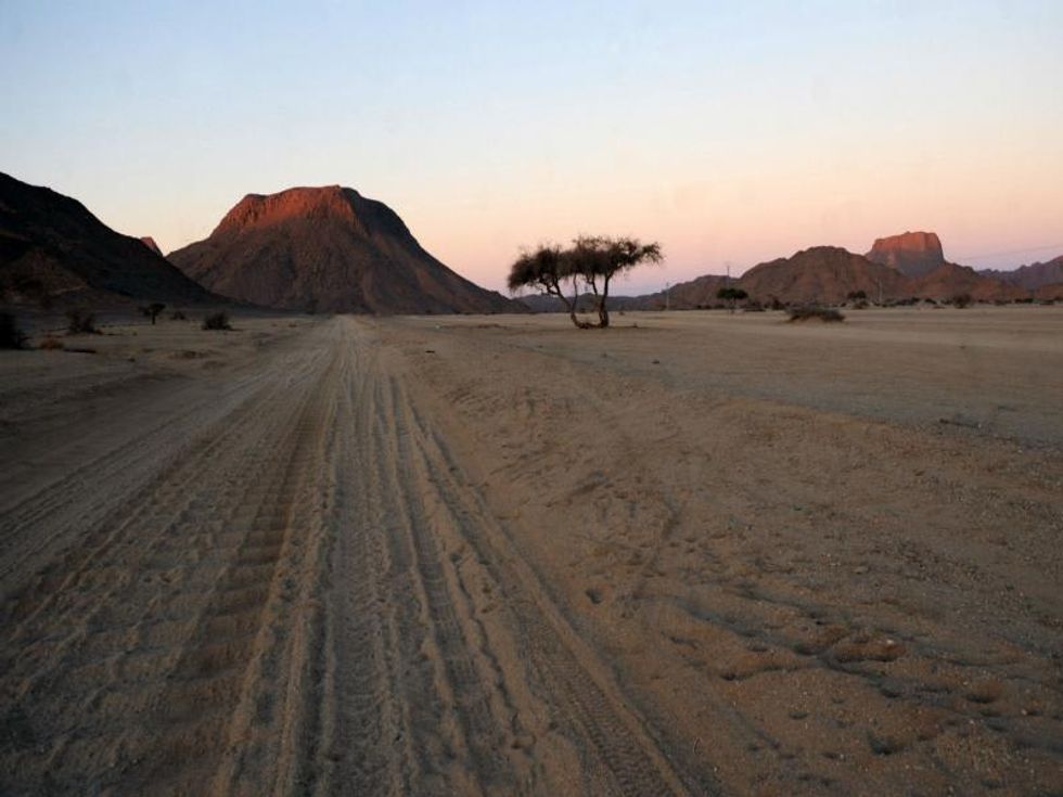 20 killed in road accident in Algeria: rescuers