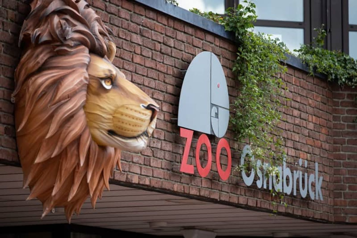 Lion attacks keeper in German zoo