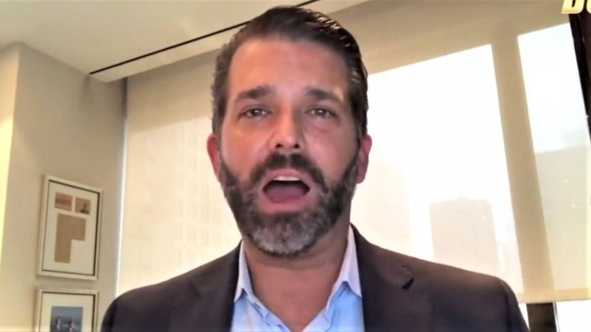 'Justice is coming': Donald Trump Jr. flayed for whining about his dad's 'political persecution'