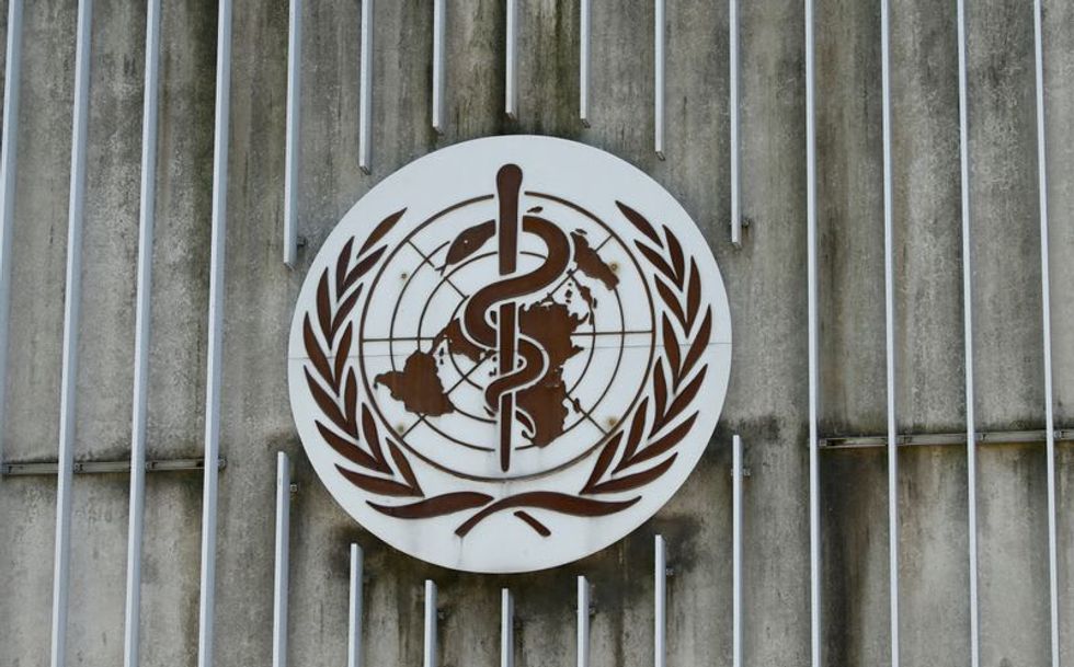 World no closer to answer on COVID origins despite WHO probe: expert