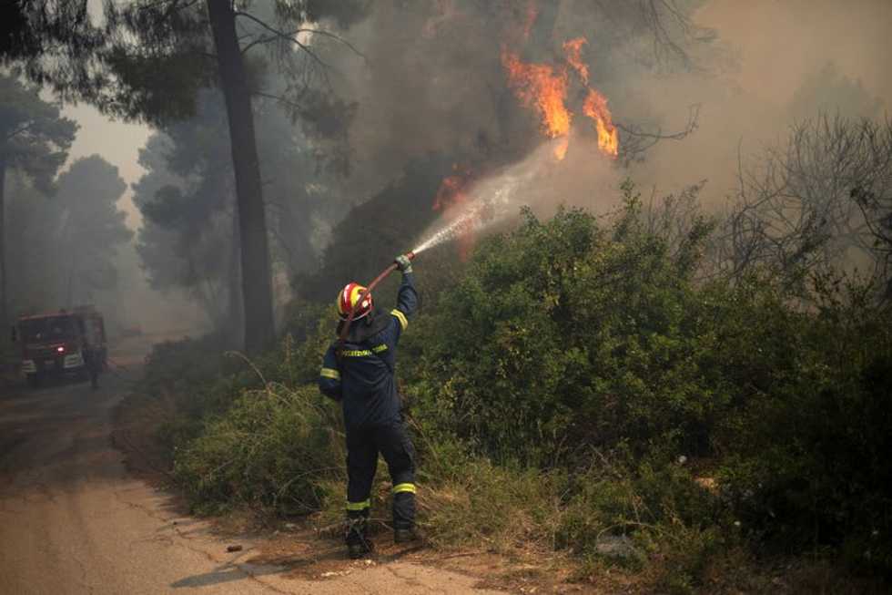 Greek firefighters battle forest blaze near Athens