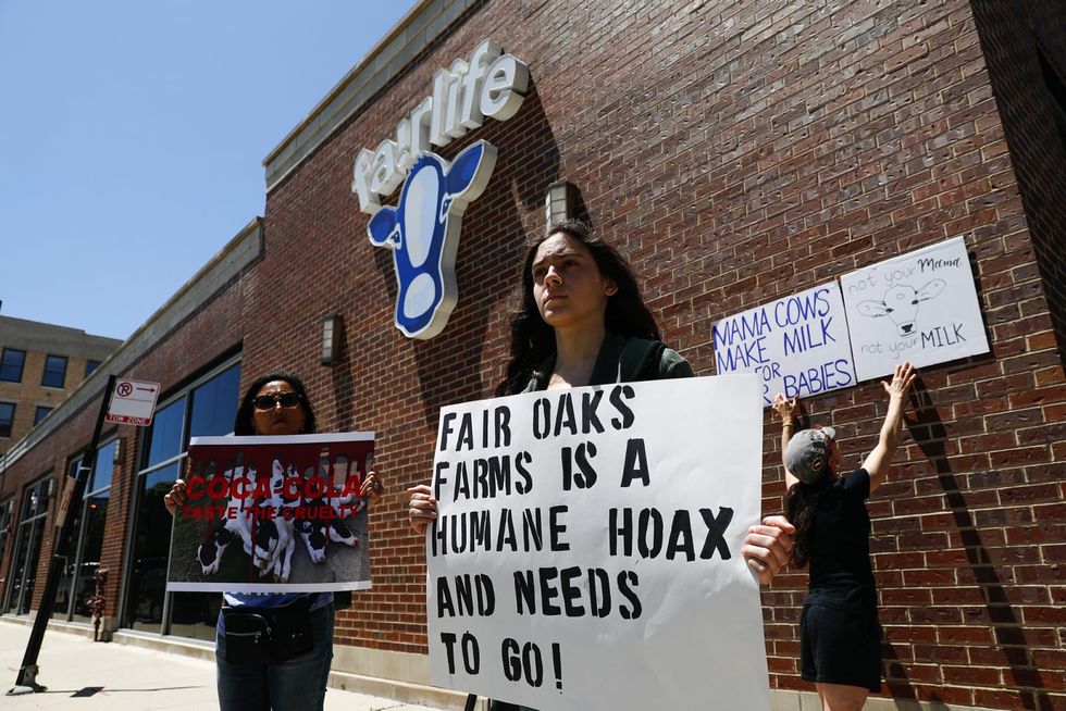 2-year-old animal abuse video goes viral again, renewing calls to boycott Fairlife, though brand has cut ties with dairy