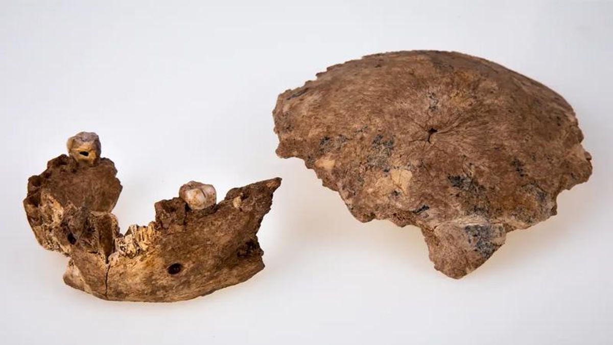 A mysterious new human species has been discovered in Israel