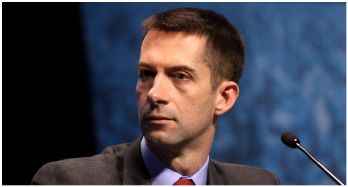 Republican Tom Cotton claims ‘we’re literally risking our freedoms’ if we allow troops to be influenced by critical race theory