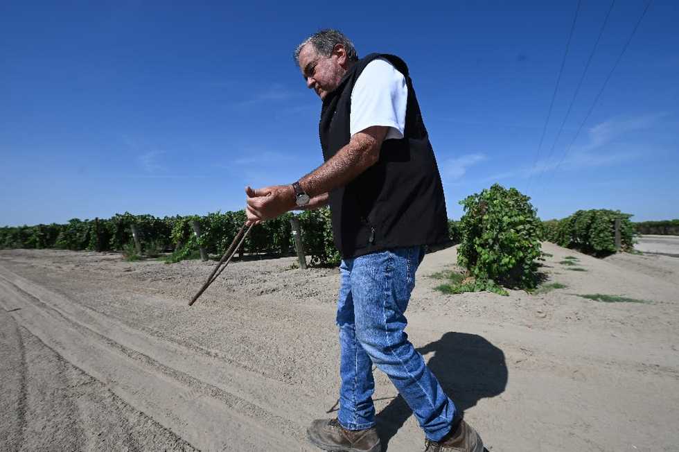 California drought is so bad some are hiring a 'water witch' to help