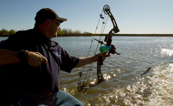 In fight against invasive carp, Missouri scientists explore new frontier: Track the babies