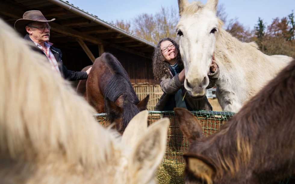 The sanctuary where the German armed forces' mules go to retire