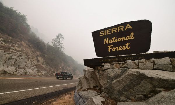Death of family and their dog on California trail baffles police