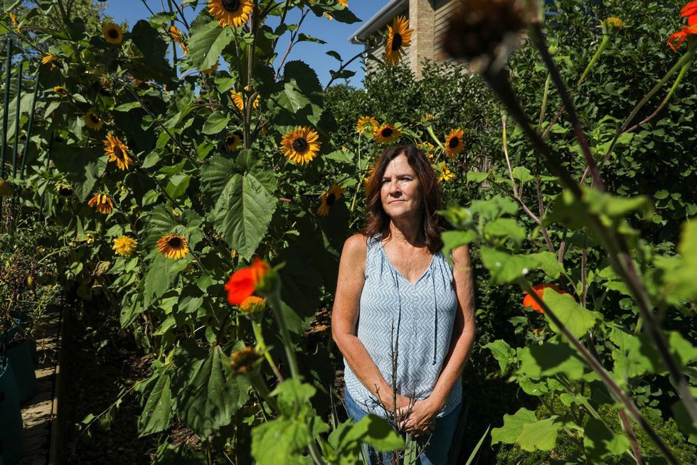 A suburban Chicago woman’s home-raised monarch butterfly makes it to central Mexico, 2,000 miles away: ‘What are the chances?’