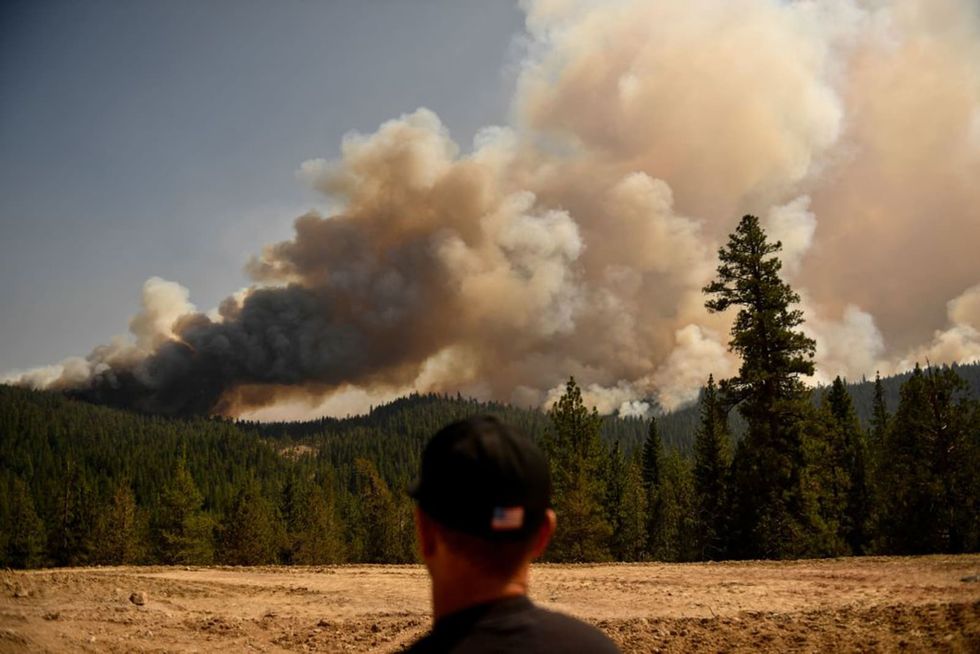 The feds own 57% of California forests. When will they finally act to reduce fire risks?