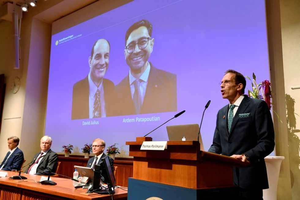 And the 2021 Nobel Prizes go to men... so far