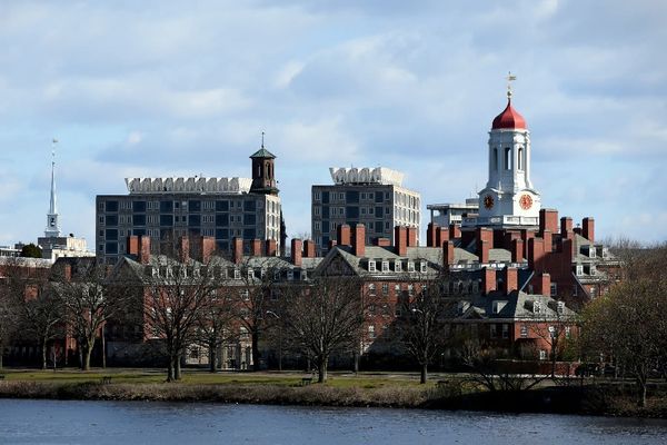 Harvard's endowment soars to $53.2 billion
