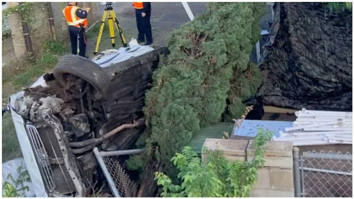 ‘Outrageous’: Video indicates ‘arrogant’ cops fled the scene after devastating crash