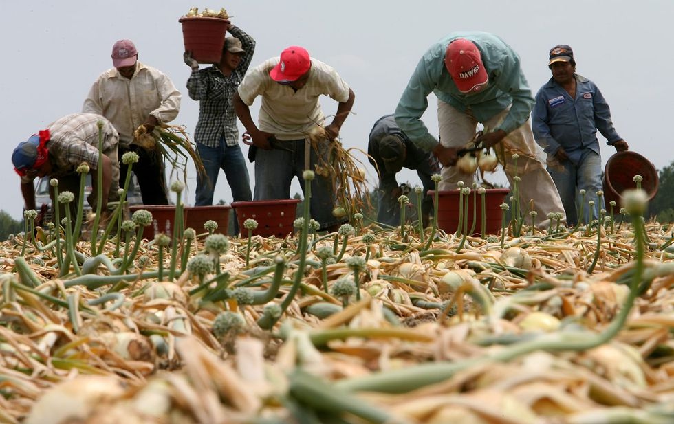 ‘This has been happening for a long time’: Modern-day slavery uncovered in South Georgia