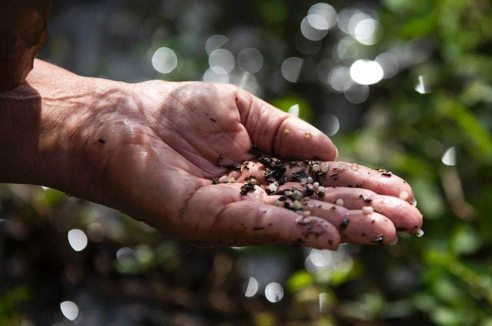 Texas bears brunt of US plastic pollution - Vimarsana News