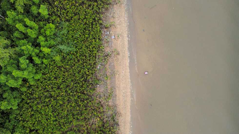 Deforestation in the Brazilian Amazon at record high