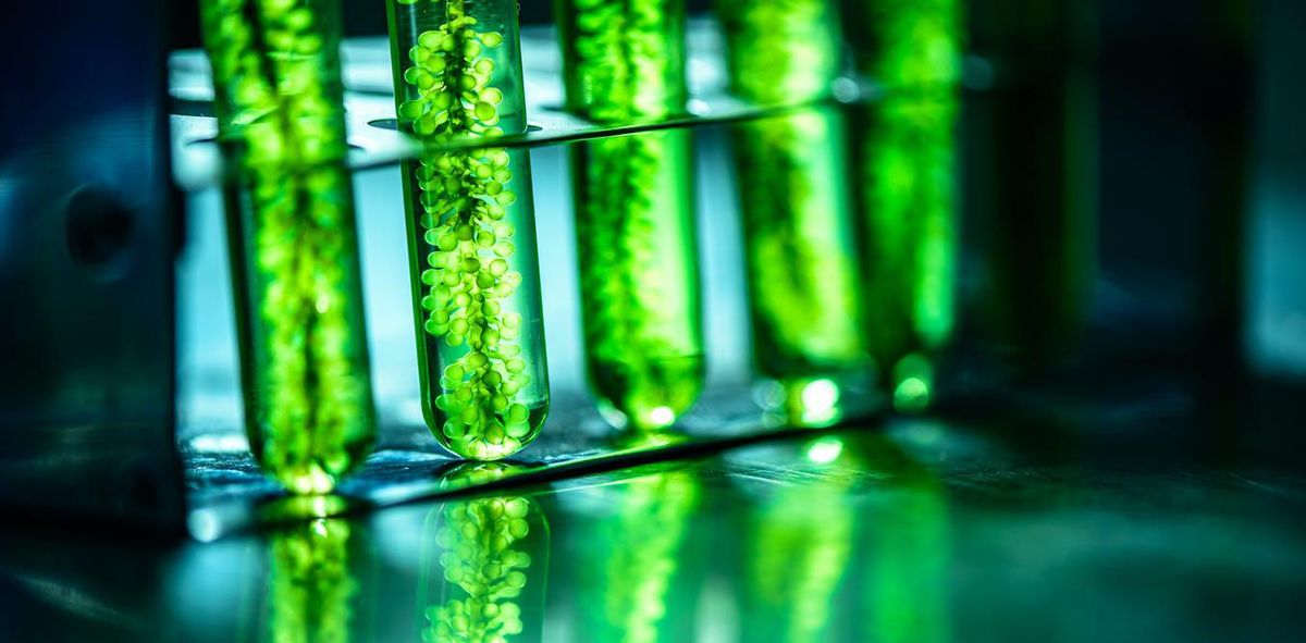 How new microalgae technologies can hasten the end of our reliance on oil