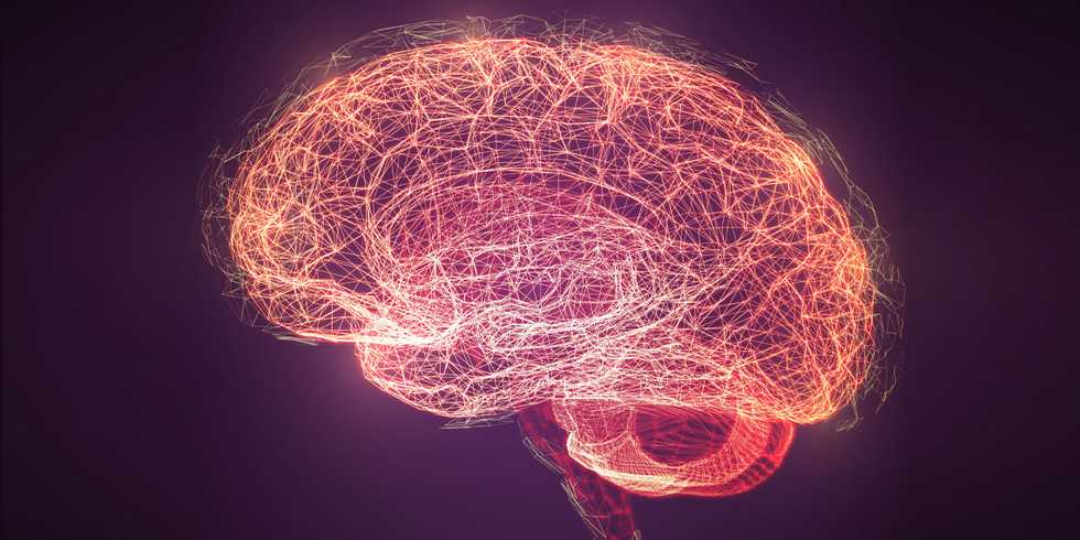 Social working memory abnormalities may be a neurocognitive mechanism underlying poorer social connection in PTSD