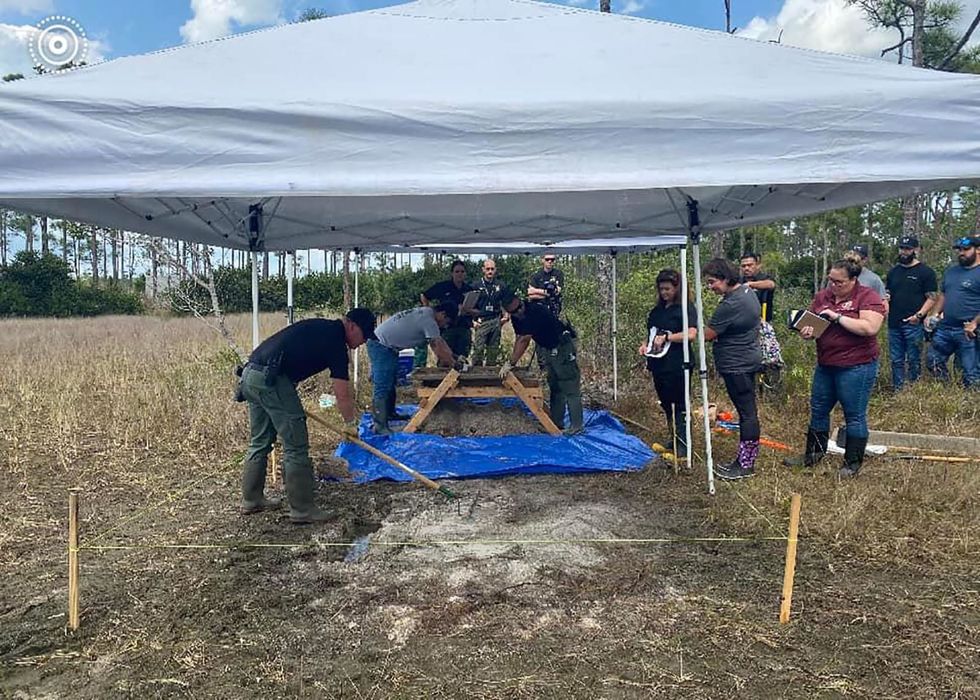 More human remains found in gator-infested nature preserve in Florida where an arm, leg were found