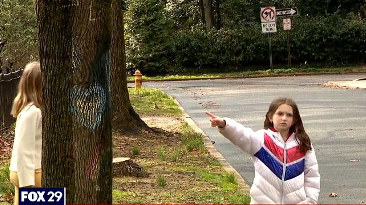 Quaker community decorates trees vandalized with swastikas with symbols of peace and love
