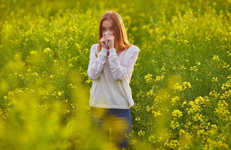 Why does pollen make you miserable? Here’s why it triggers allergies — and some tips