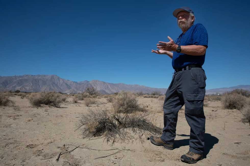 Climate change is ravaging Anza-Borrego Desert State Park, warn scientists. What can be done?