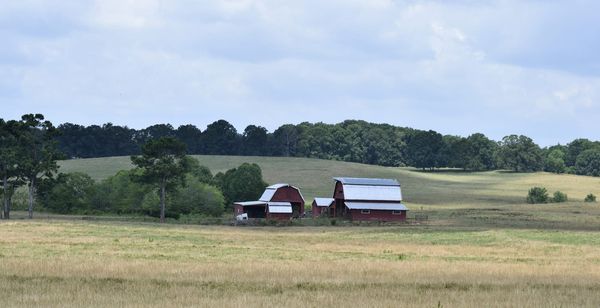 Controversial rural jobs program generates hundreds of jobs: report
